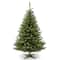 6ft. Unlit Kincaid Spruce Artificial Christmas Tree